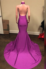 2027 Prom Dresses Mermaid V Neck Beaded Fuchsia Long Backless back view