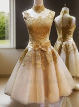 A-Line High Neck Knee-Length Champagne Short Homecoming Dress 2027 with Appliques front view